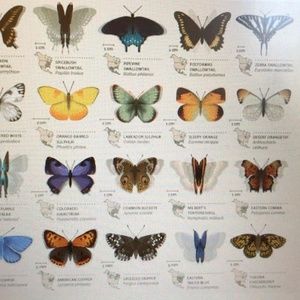 Meet your Posher, Karolyn